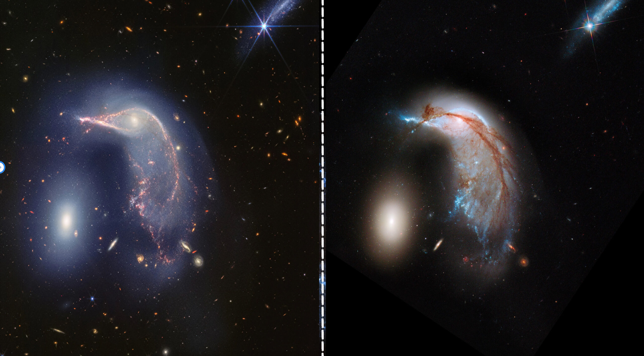 the Penguin Galaxy