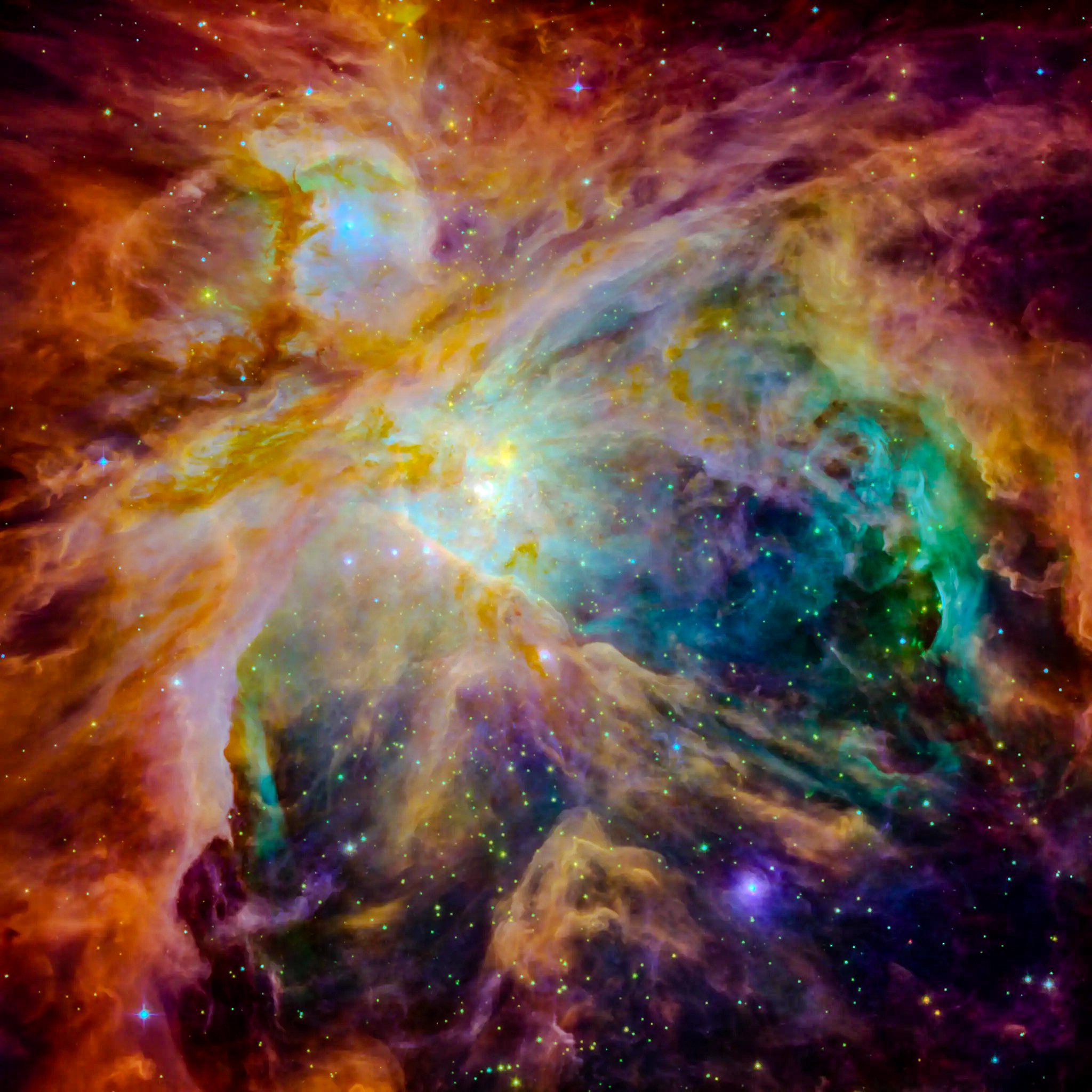 Orion nebula